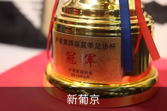 新葡京公司简介图